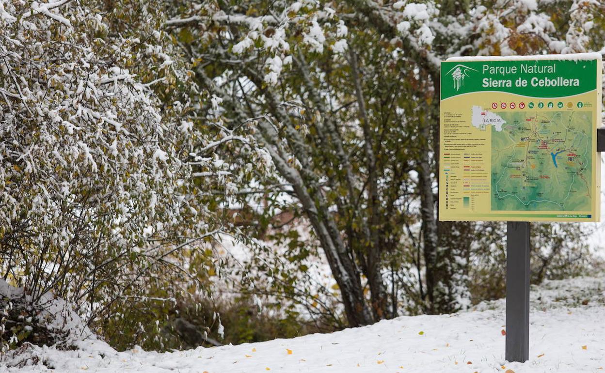 El invierno polar vuelve a La Rioja: hasta 20 centímetros de nieve esta noche