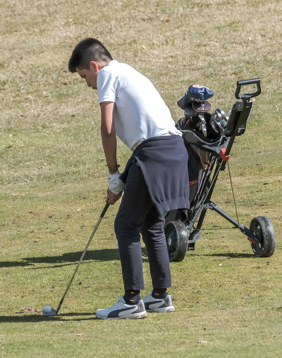 Fotos: El Torneo de Golf de TVR, en imágenes