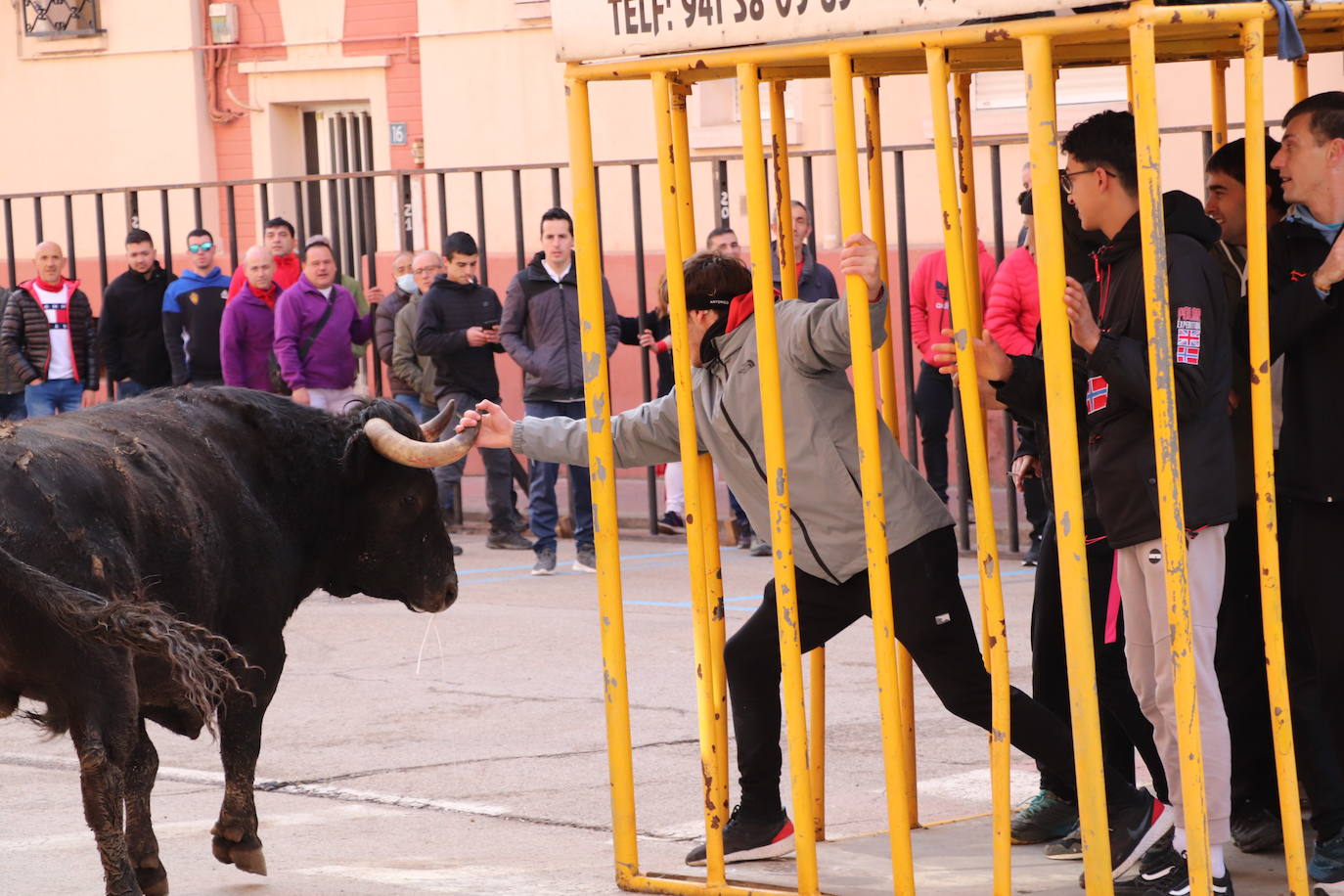 Fotos: Multitudinaria jornada en Fiestas de Arnedo