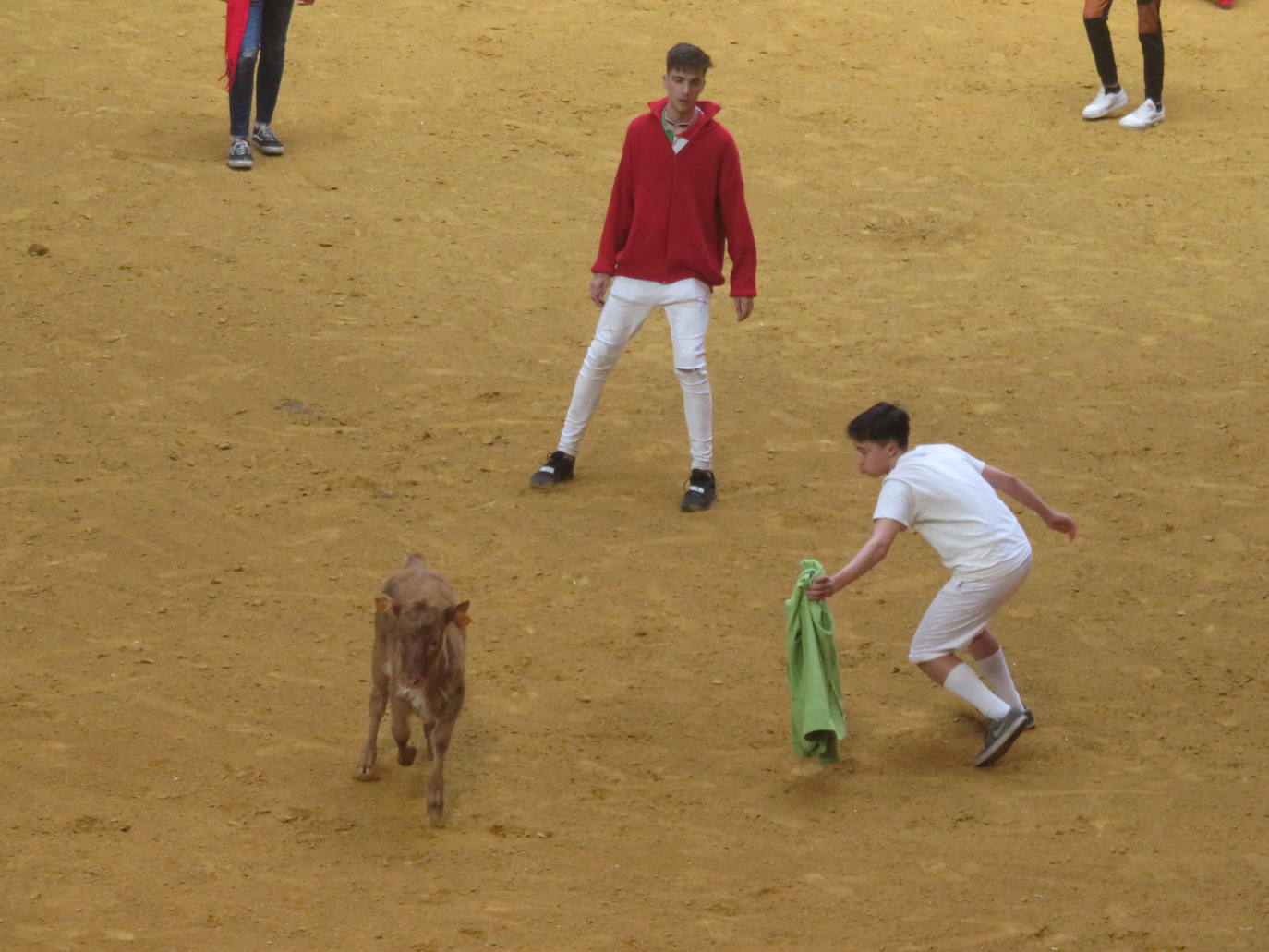 Fotos: Multitudinaria jornada en Fiestas de Arnedo