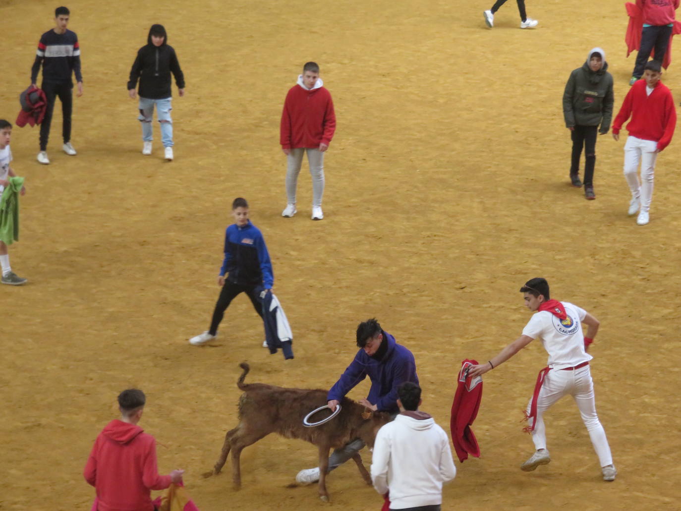 Fotos: Multitudinaria jornada en Fiestas de Arnedo