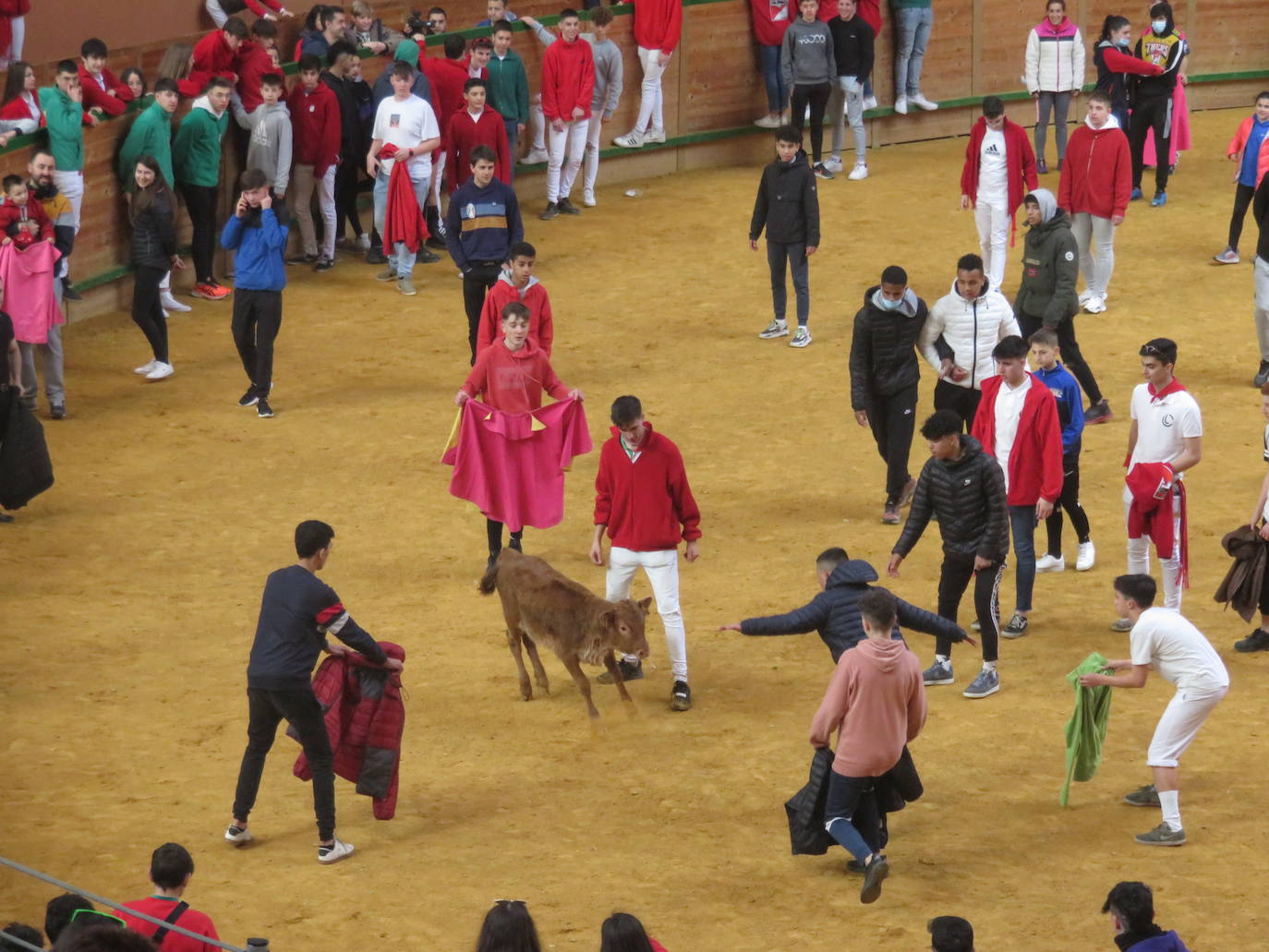 Fotos: Multitudinaria jornada en Fiestas de Arnedo