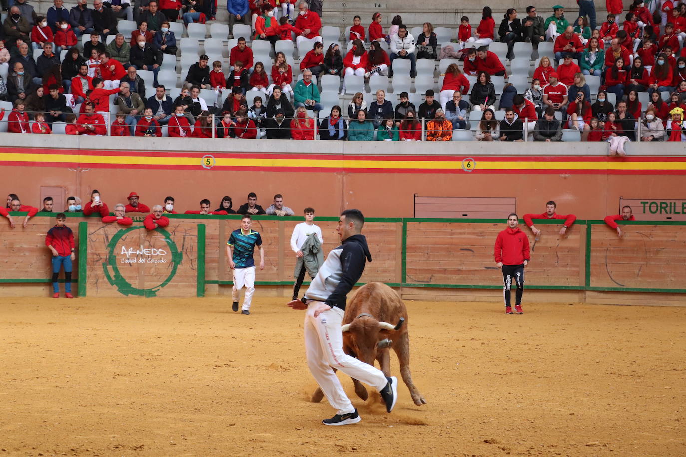 Fotos: Multitudinaria jornada en Fiestas de Arnedo