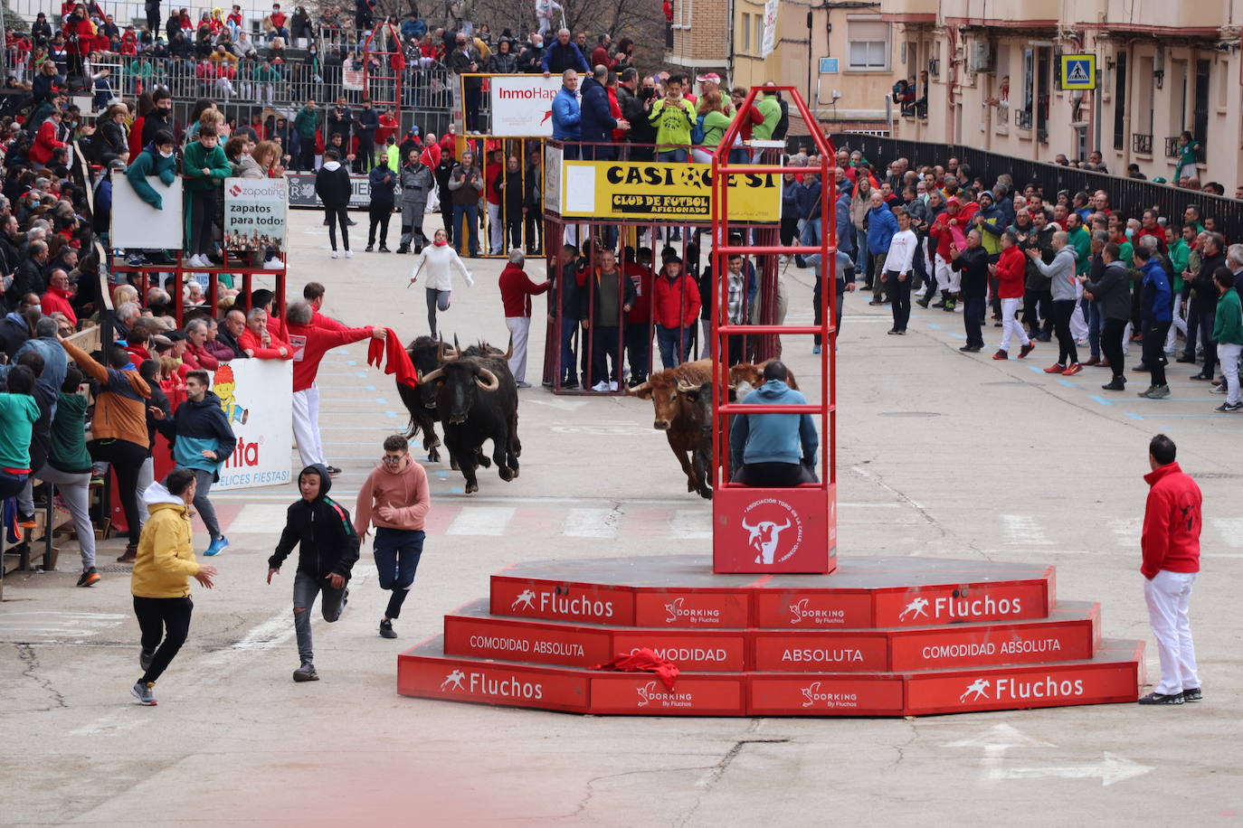 Fotos: Terminan las fiestas por San José de Arnedo