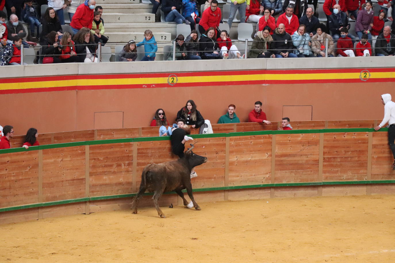 Fotos: Terminan las fiestas por San José de Arnedo