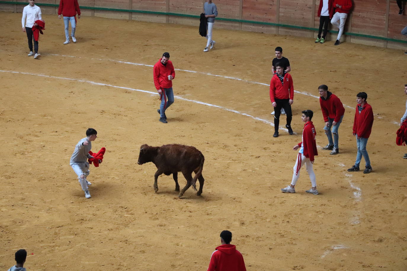 Fotos: Terminan las fiestas por San José de Arnedo