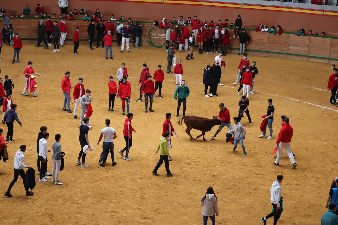 Fotos: Terminan las fiestas por San José de Arnedo