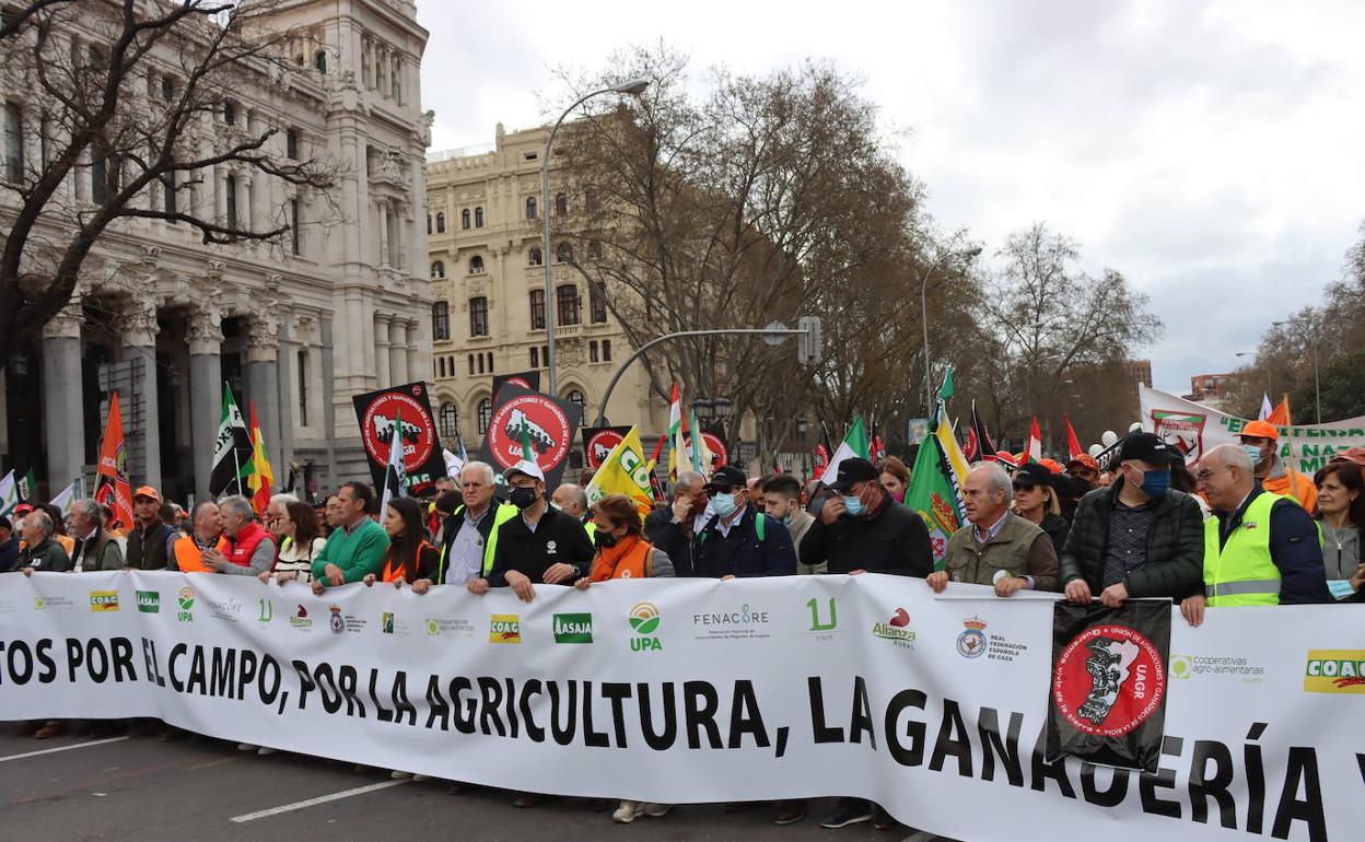 Las organizaciones agrarias califican de «éxito rotundo» la manifestación de Madrid en defensa del mundo rural