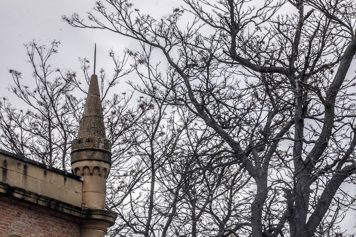 El palacio de los Manso de Zúñiga agonizaba convertido en almacenes y dependencias municipales hasta que, en el año 2003, el Ayuntamiento cedió su uso a la Fundación San Millán para que lo restaurara y lo convirtiera en residencia de estudiantes