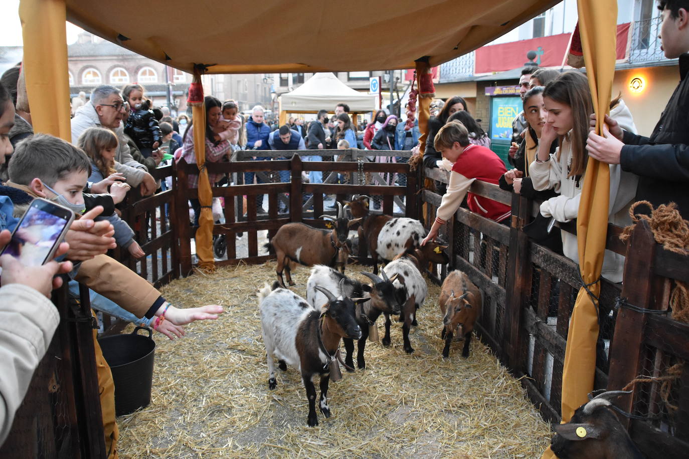 Fotos: Mercado y ambiente del Mercaforum de Calahorra