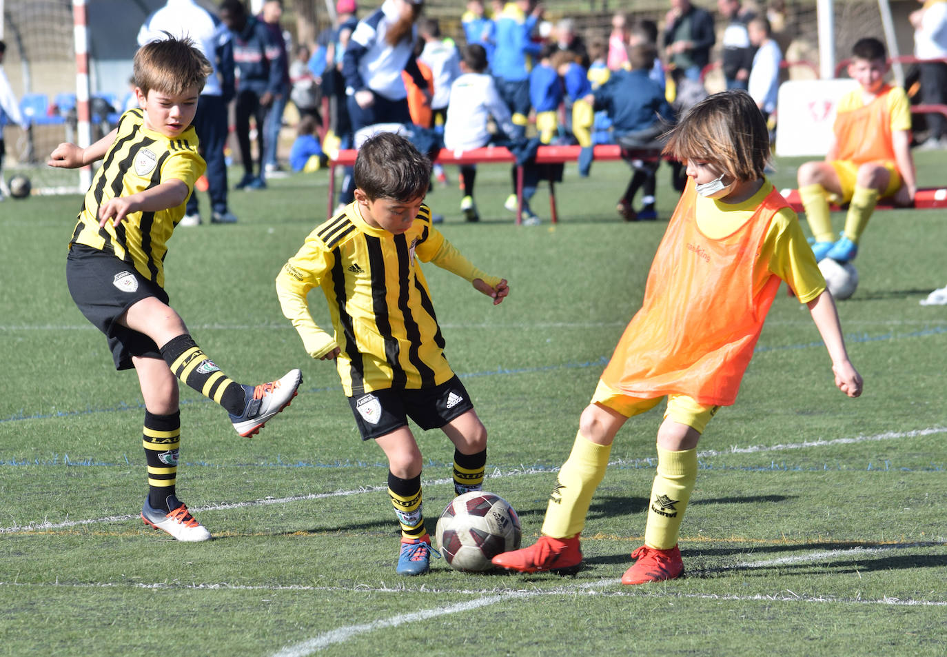 Fotos: Pradoviejo, escenario de la Laurus Cup