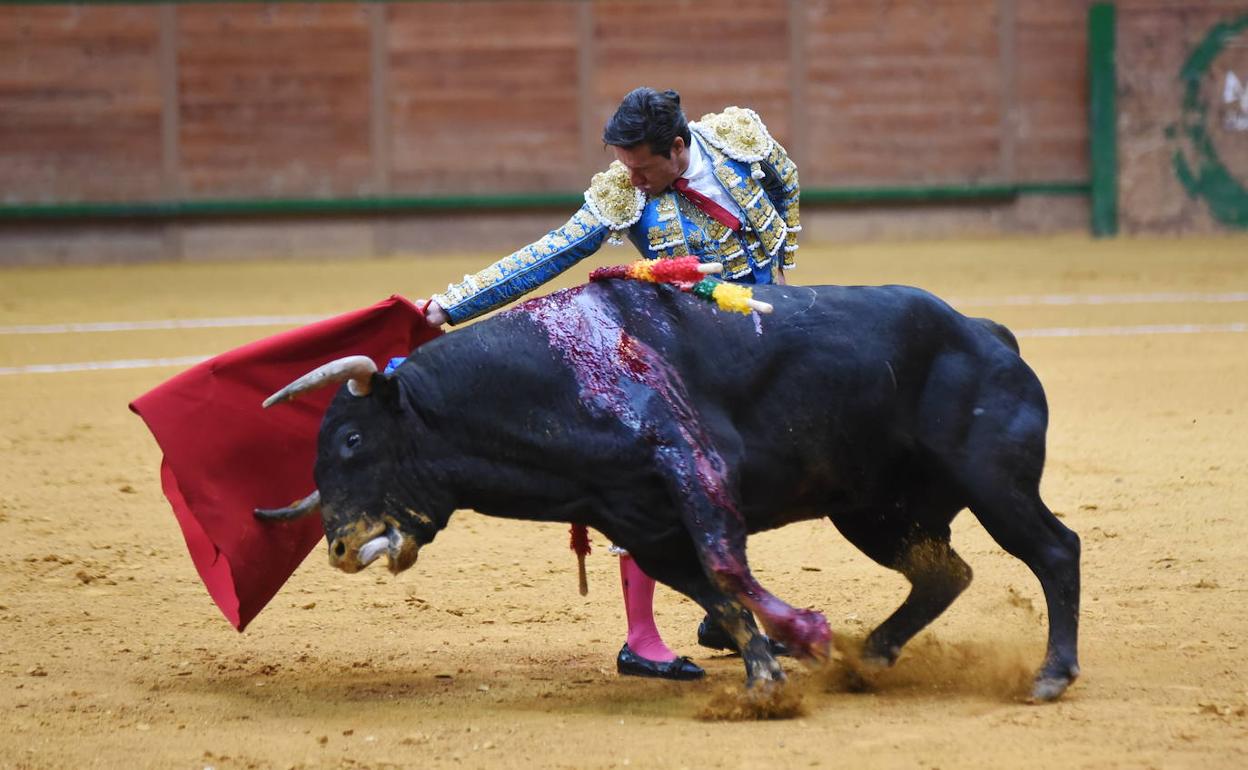 Mano a mano de Urdiales con Ginés Marín en Brihuega tras caerse del cartel Morante