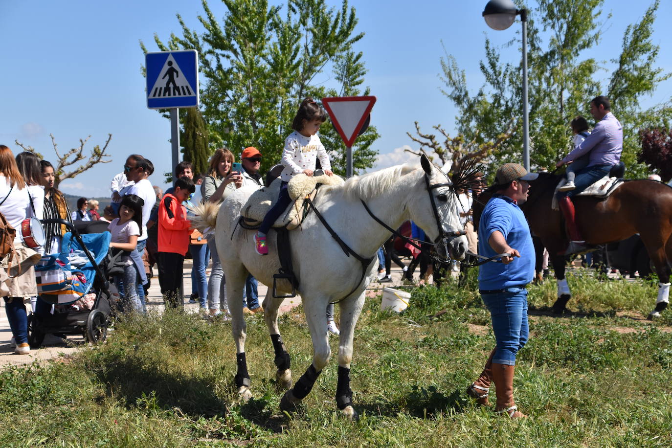 Fotos: Feria del ganado equino en Rincón de Soto