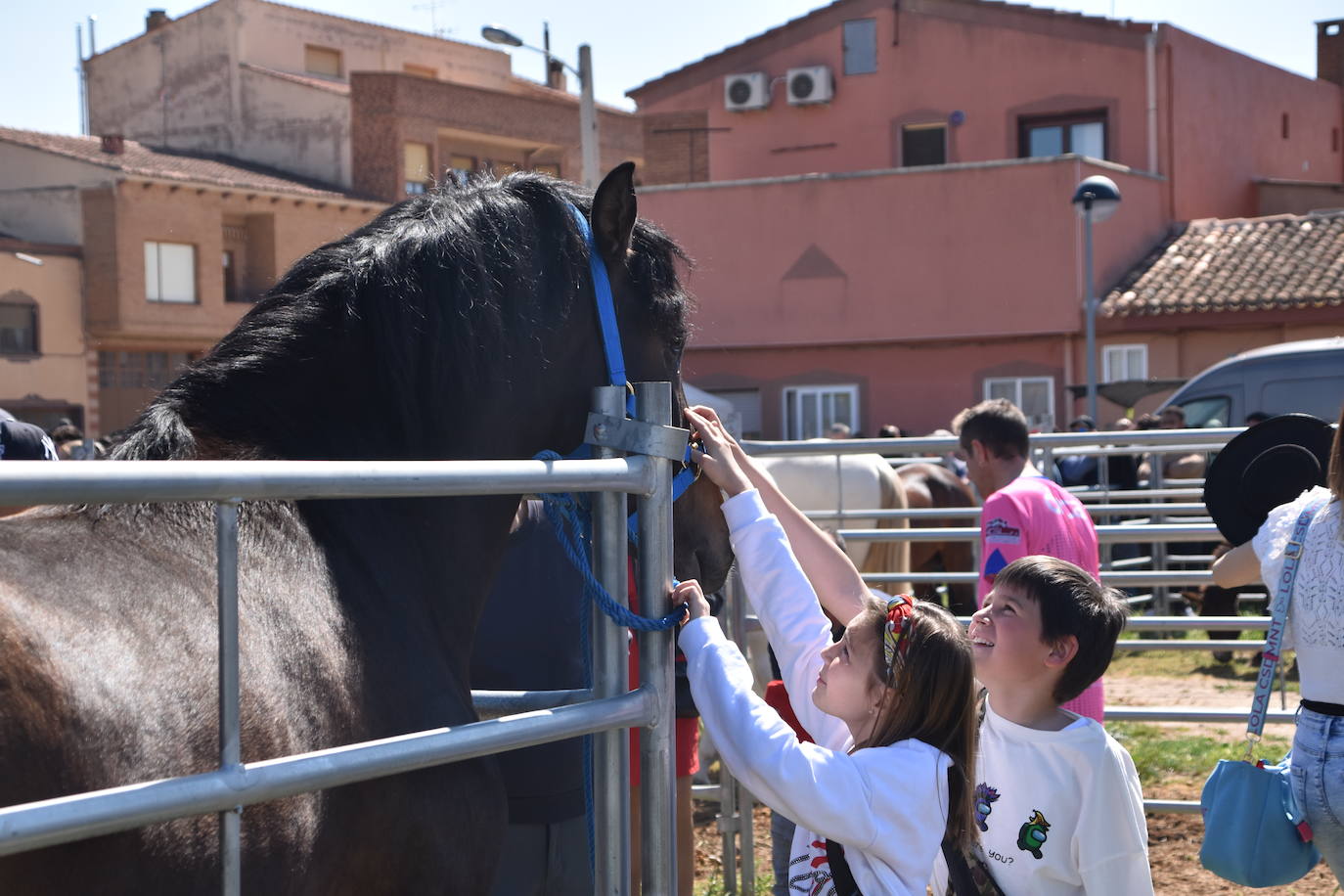 Fotos: Feria del ganado equino en Rincón de Soto