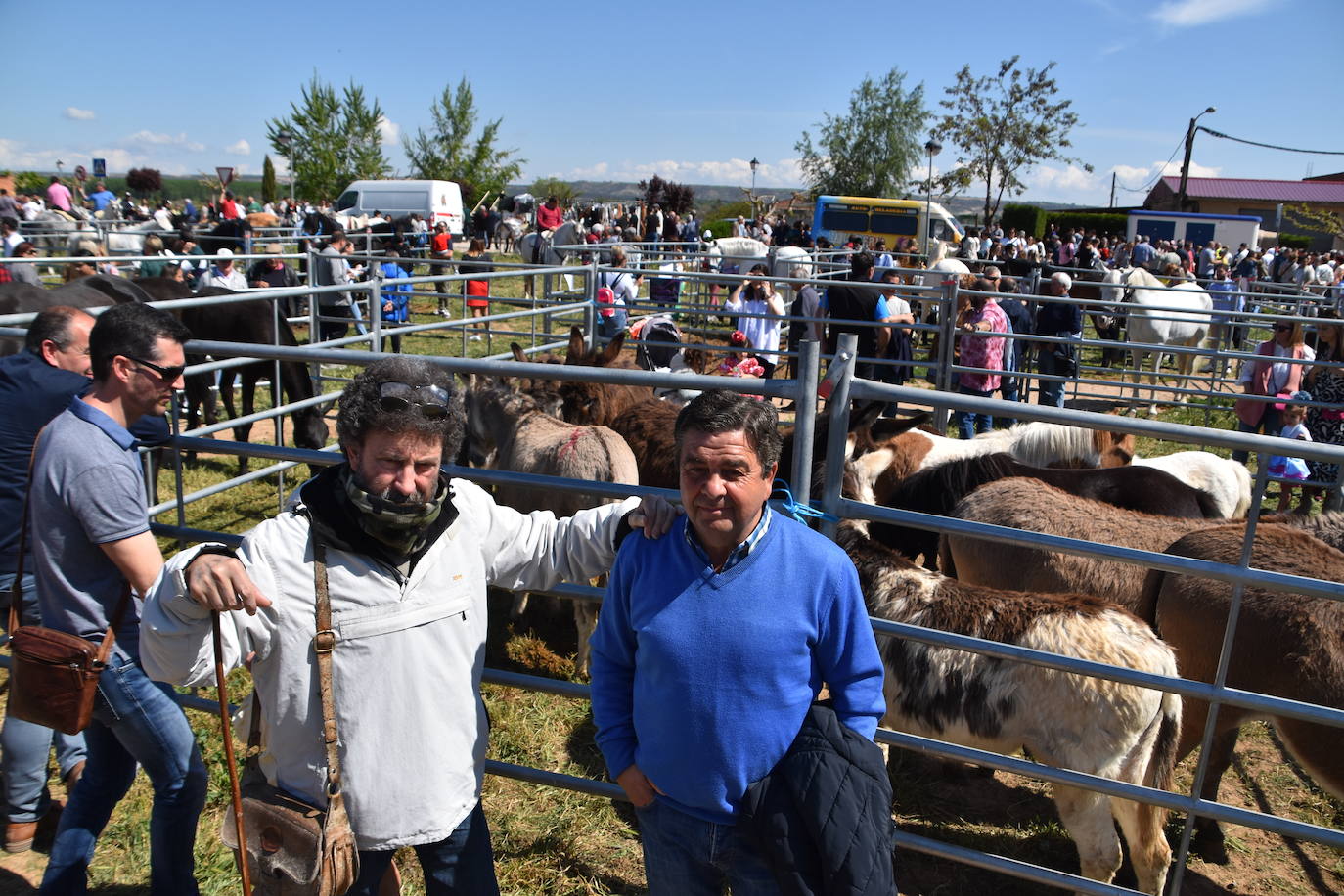 Fotos: Feria del ganado equino en Rincón de Soto