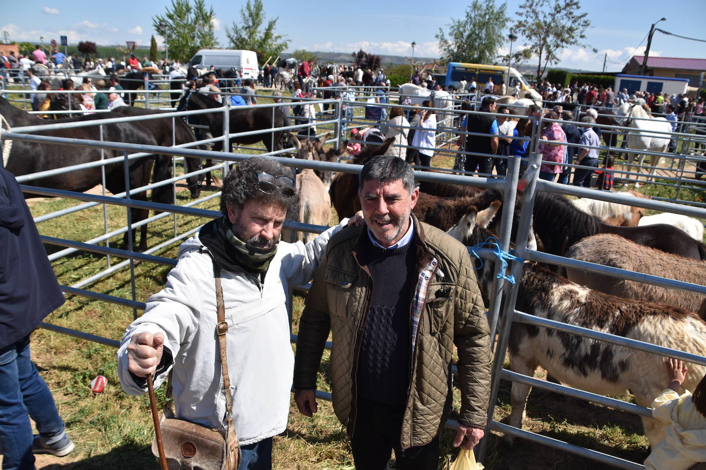 Fotos: Feria del ganado equino en Rincón de Soto