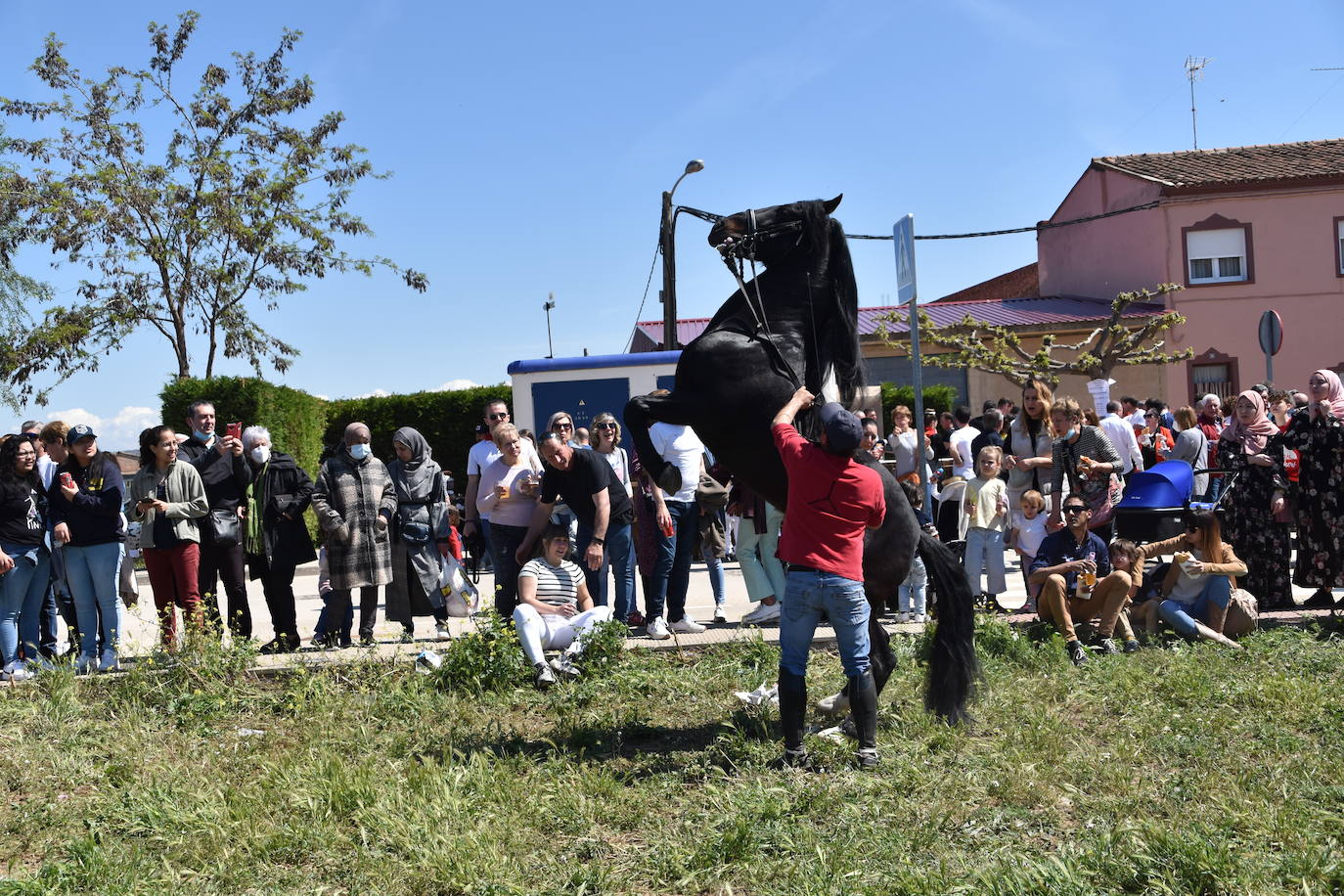 Fotos: Feria del ganado equino en Rincón de Soto