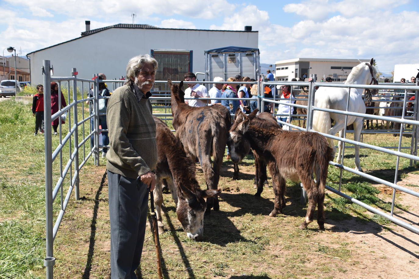 Fotos: Feria del ganado equino en Rincón de Soto