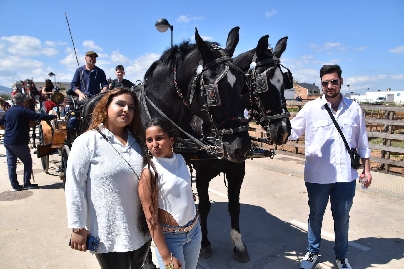 Fotos: Feria del ganado equino en Rincón de Soto