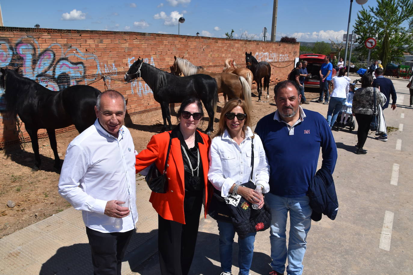 Fotos: Feria del ganado equino en Rincón de Soto