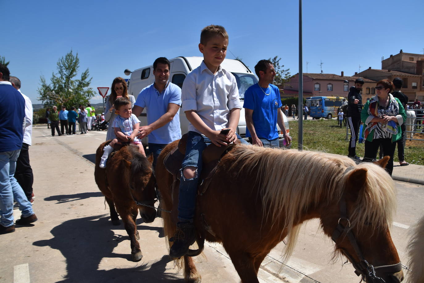 Fotos: Feria del ganado equino en Rincón de Soto