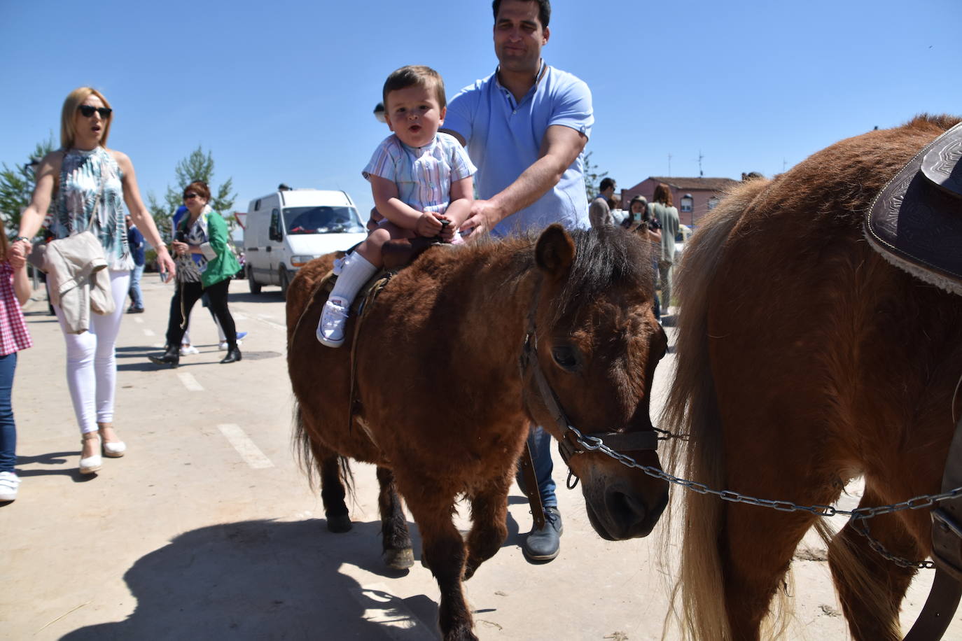 Fotos: Feria del ganado equino en Rincón de Soto