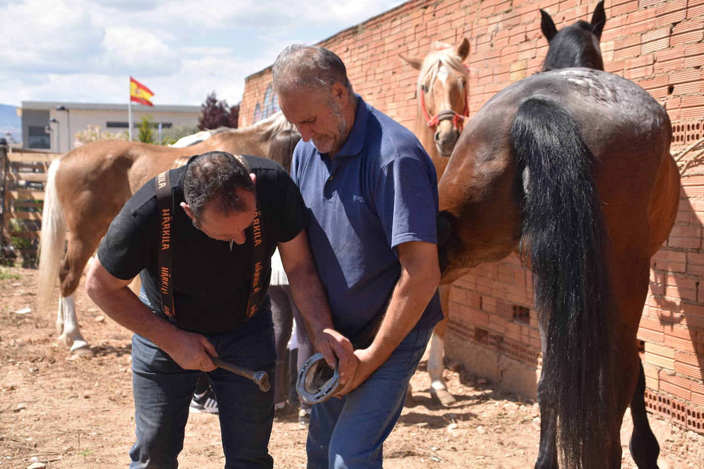 Fotos: Feria del ganado equino en Rincón de Soto