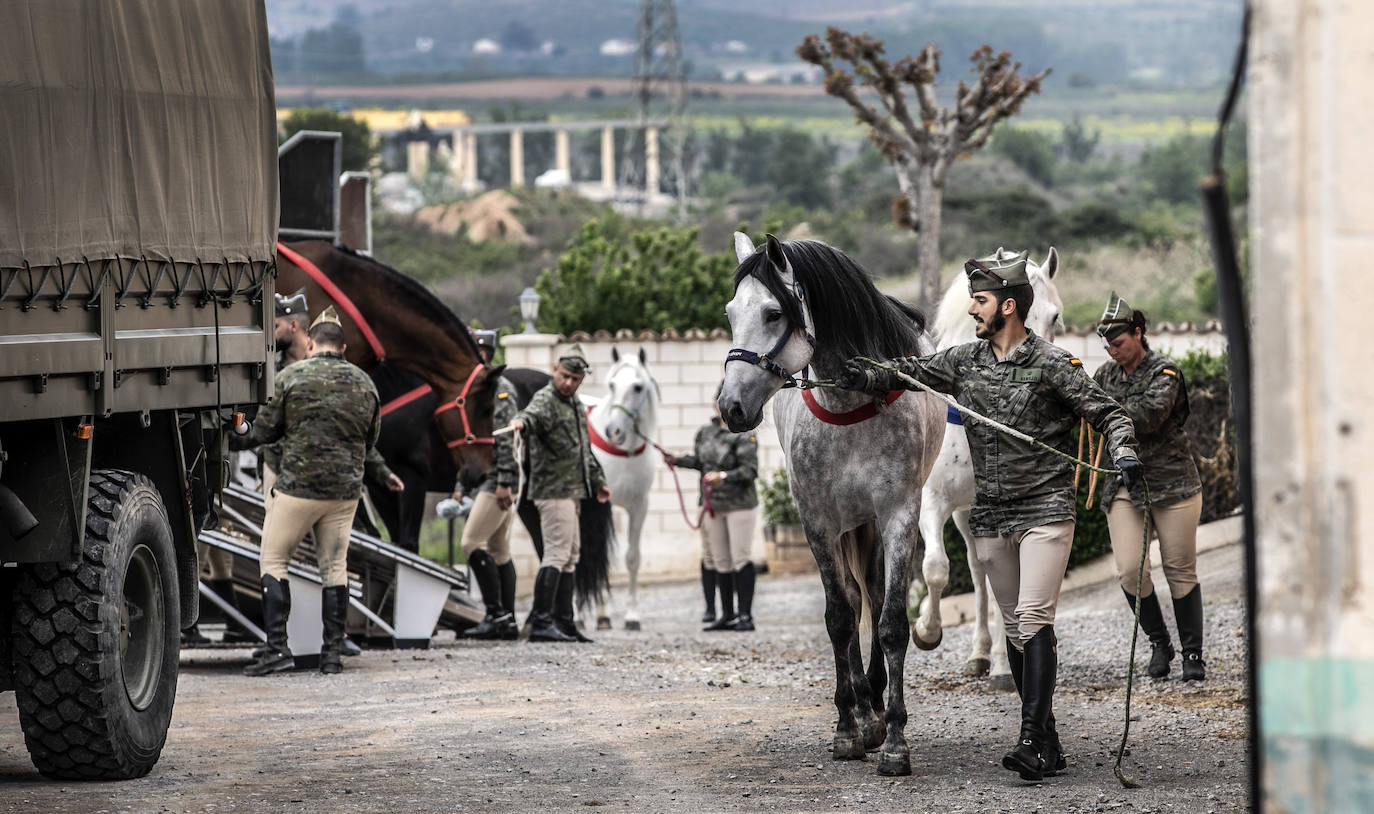 Fotos: Los caballos de la Guardia Real, una raza aparte