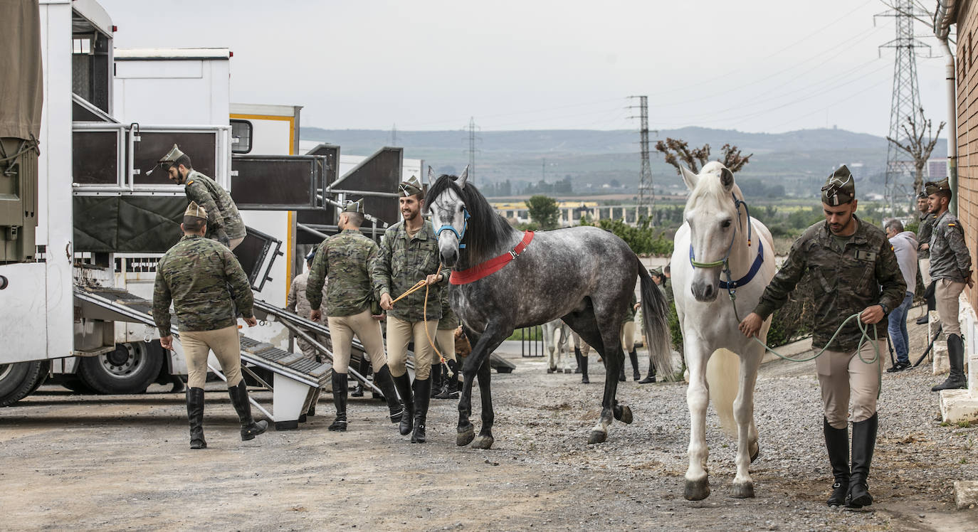 Fotos: Los caballos de la Guardia Real, una raza aparte