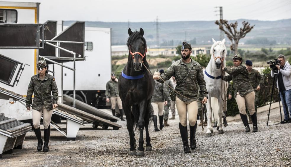 Momento en el que los jinetes del Escuadrón de Escolta Real llevan los caballos a la cuadras, tras el viaje desde el Pardo a La Rioja. 