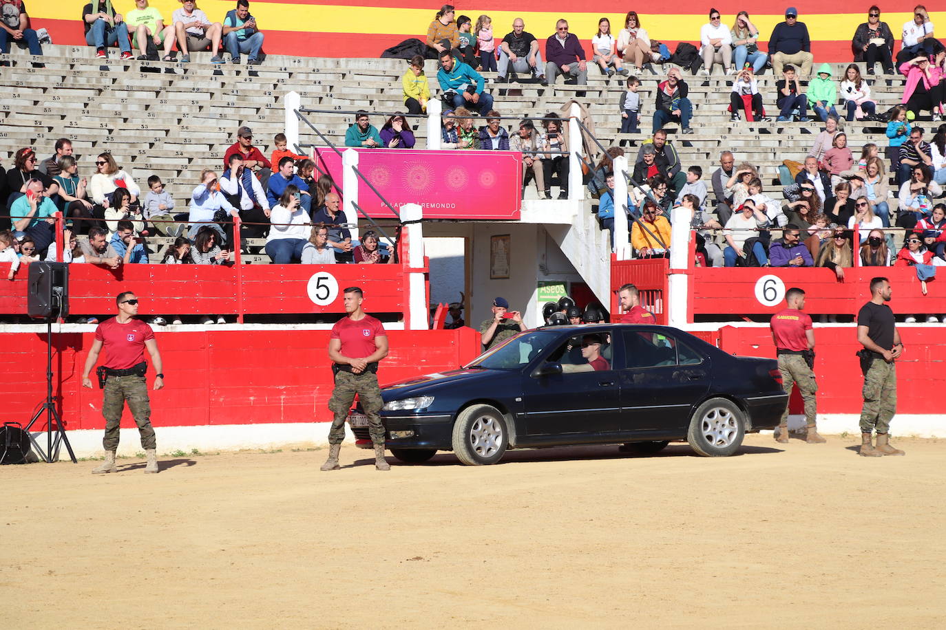 Fotos: El desfile de la caballería de la Guardia Real en Alfaro