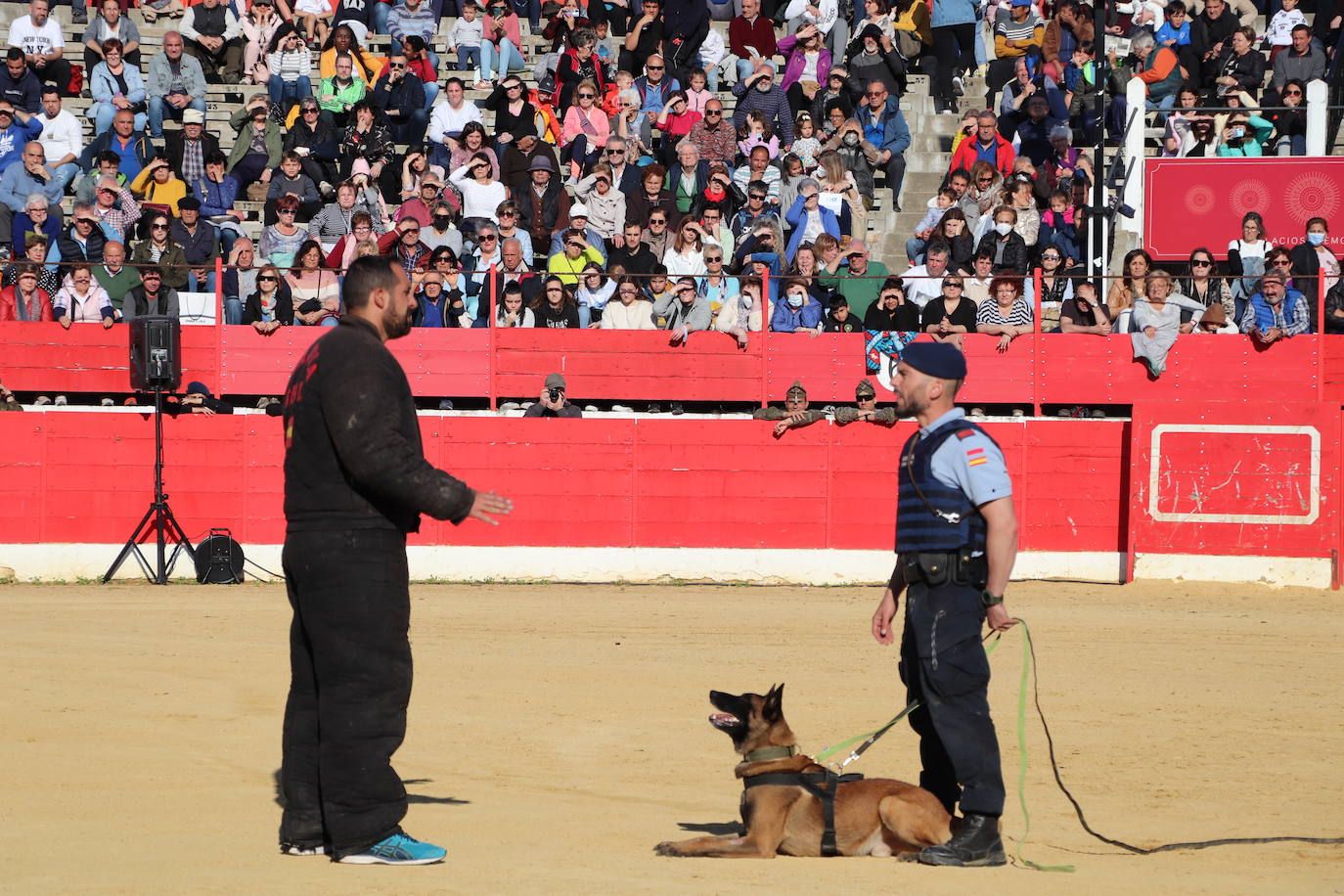 Fotos: El desfile de la caballería de la Guardia Real en Alfaro