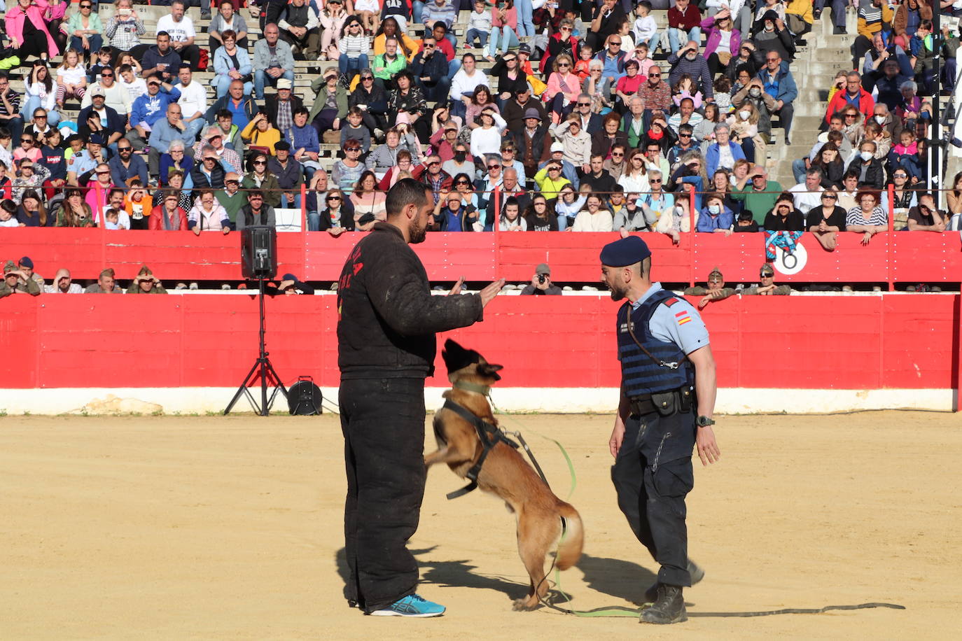 Fotos: El desfile de la caballería de la Guardia Real en Alfaro