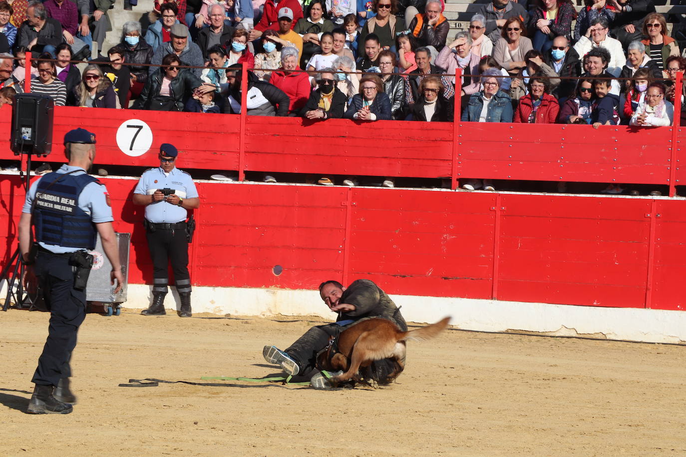 Fotos: El desfile de la caballería de la Guardia Real en Alfaro