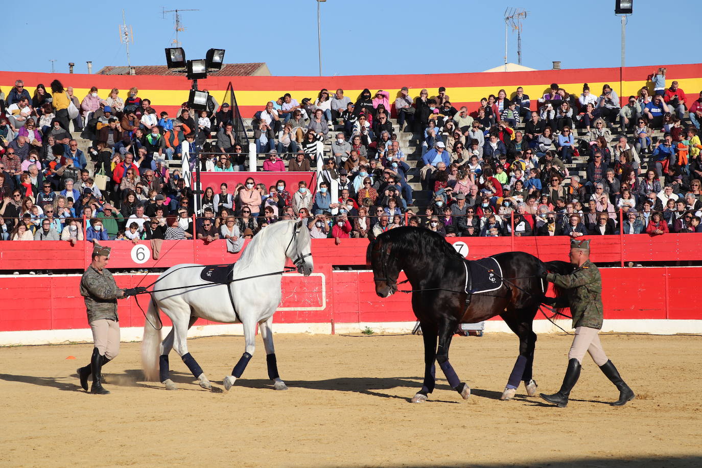 Fotos: El desfile de la caballería de la Guardia Real en Alfaro