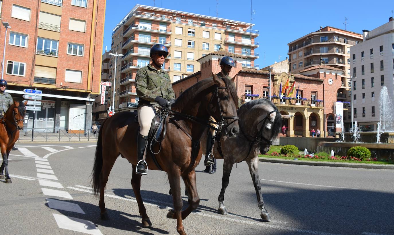 Fotos: Desfile de la Guardia Real a caballo por Calahorra