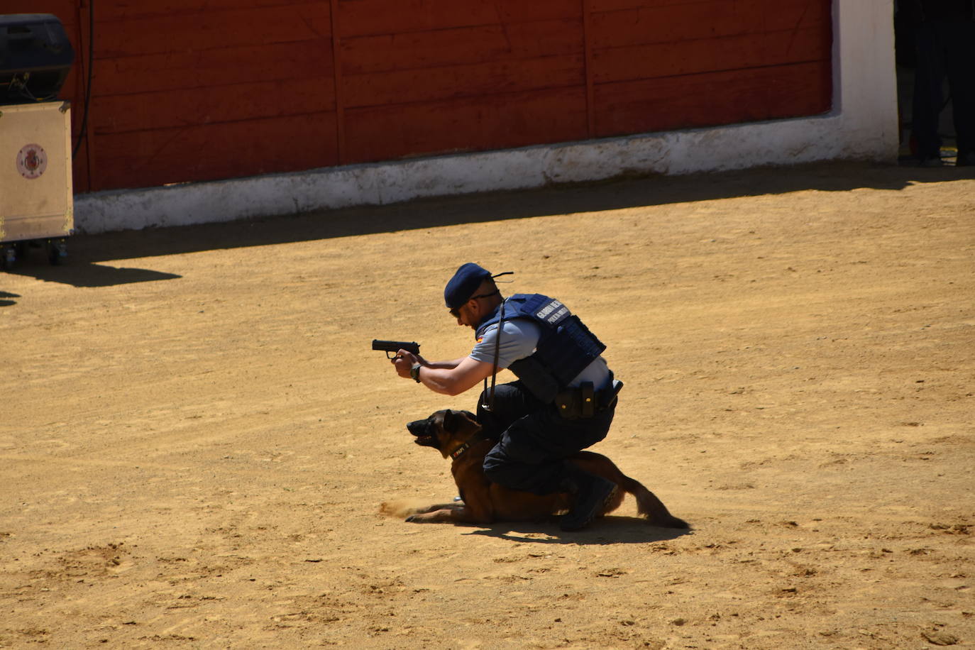 Fotos: Exhibición de la Guardia Real en la plaza de toros de Calahorra