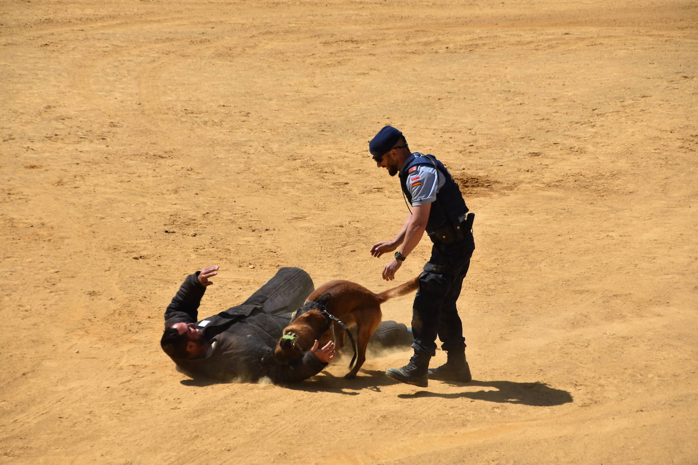 Fotos: Exhibición de la Guardia Real en la plaza de toros de Calahorra