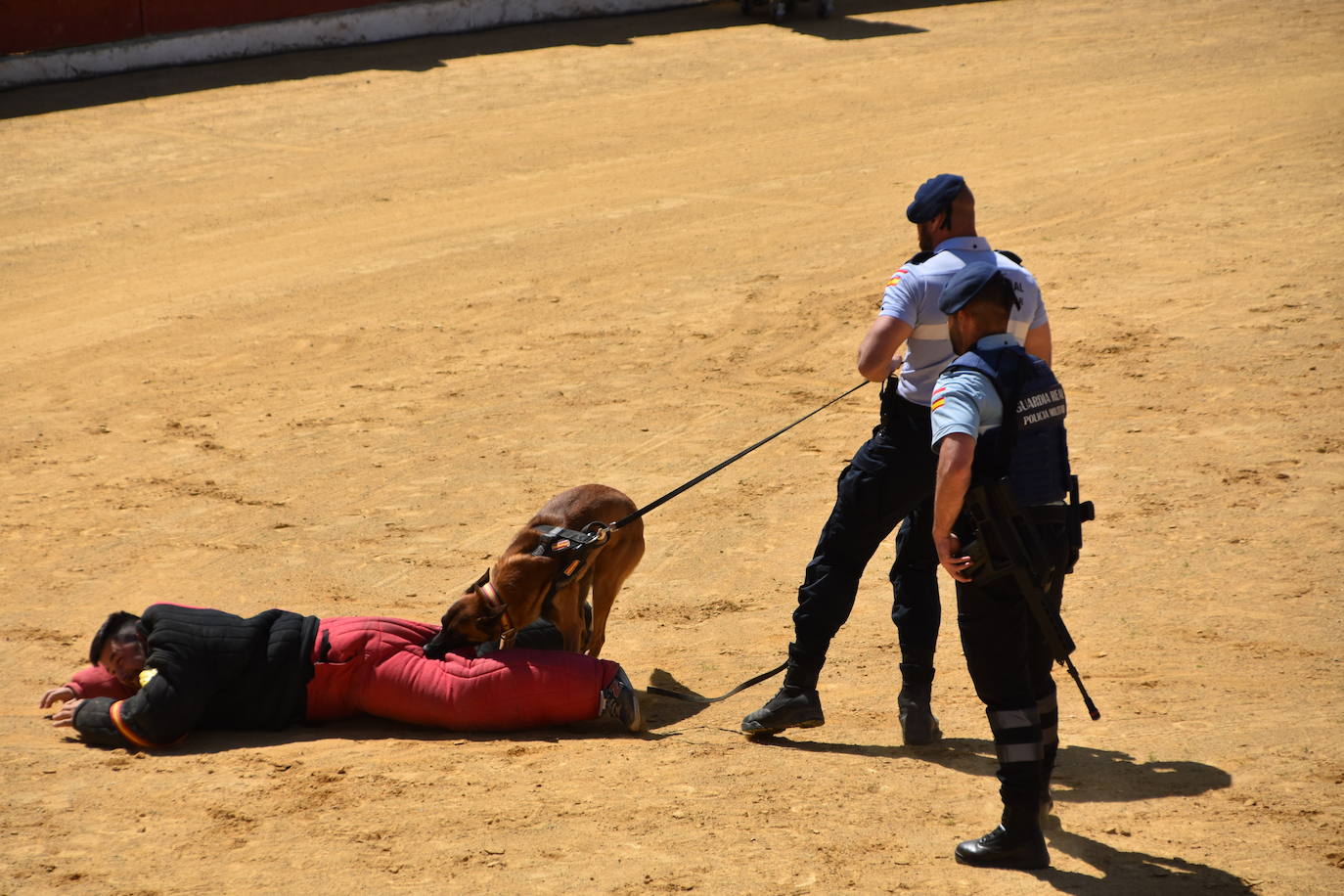 Fotos: Exhibición de la Guardia Real en la plaza de toros de Calahorra