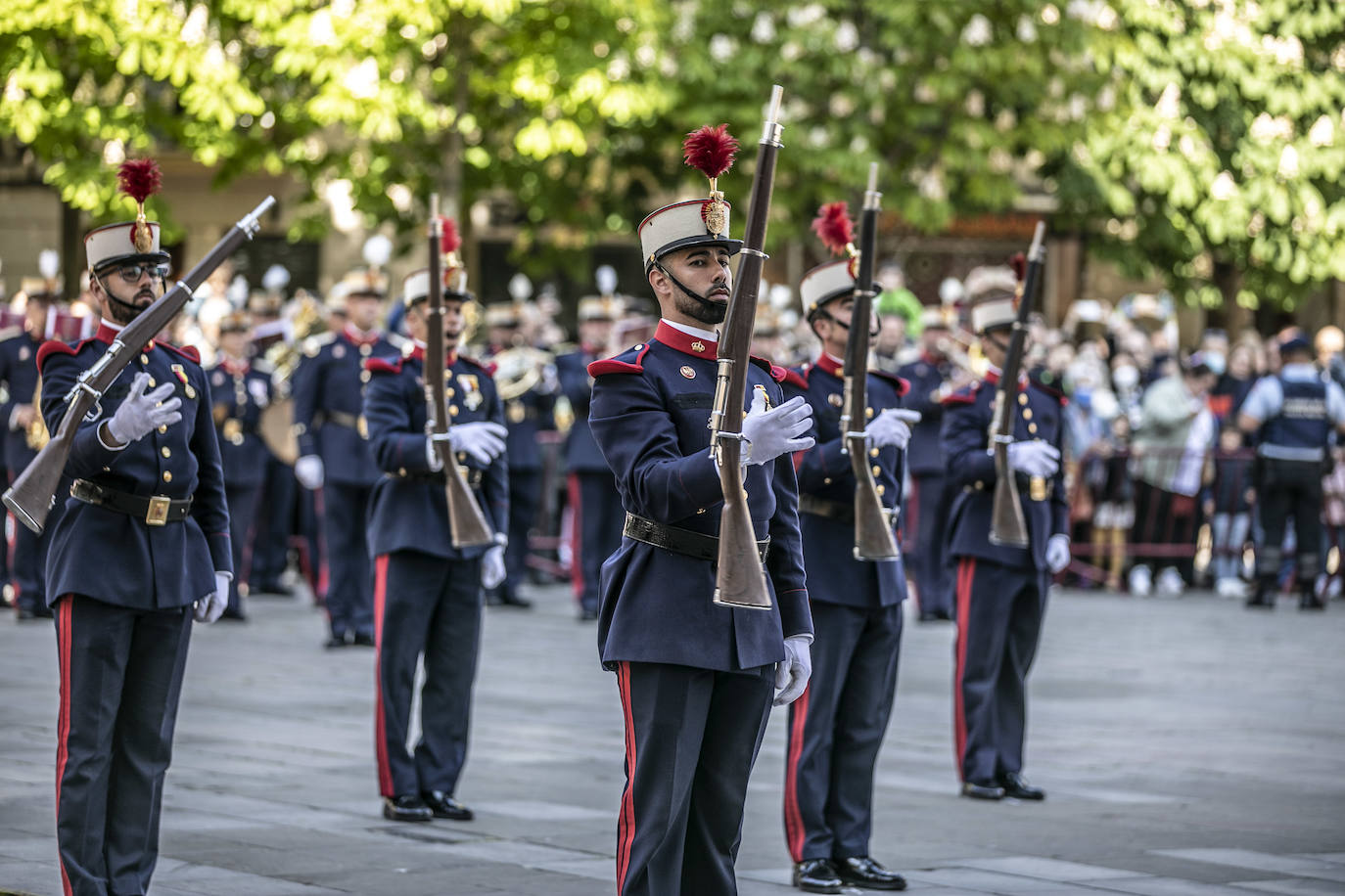 Fotos: La Guardia Real desfila por el centro de Logroño