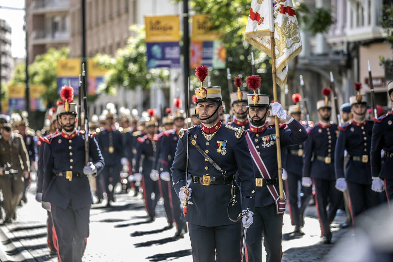 Fotos: La Guardia Real desfila por el centro de Logroño