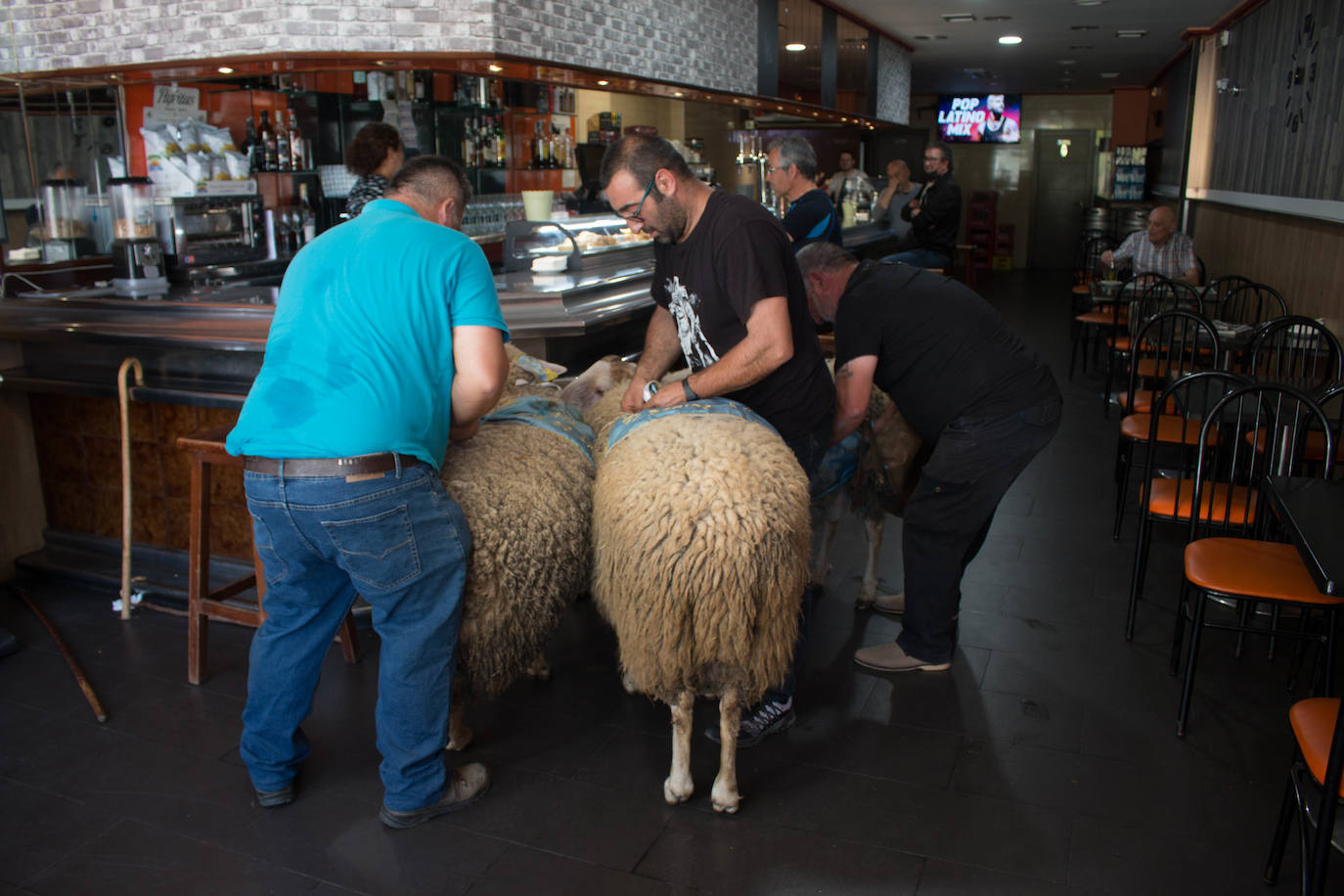 Fotos: Santo Domingo de la Calzada dispara el cohete de sus fiestas del Santo