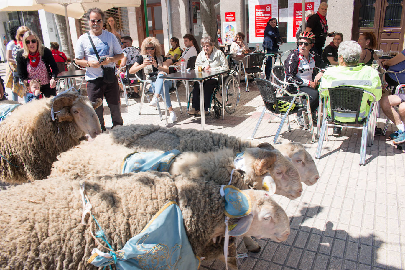 Fotos: Santo Domingo de la Calzada dispara el cohete de sus fiestas del Santo