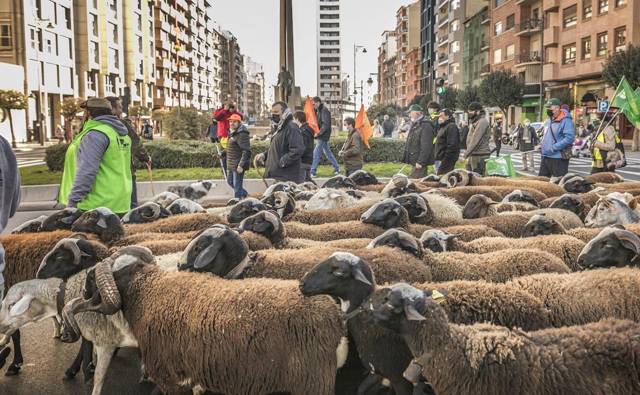 Protesta de los ganaderos riojanos en Logroño el pasado 26 de enero