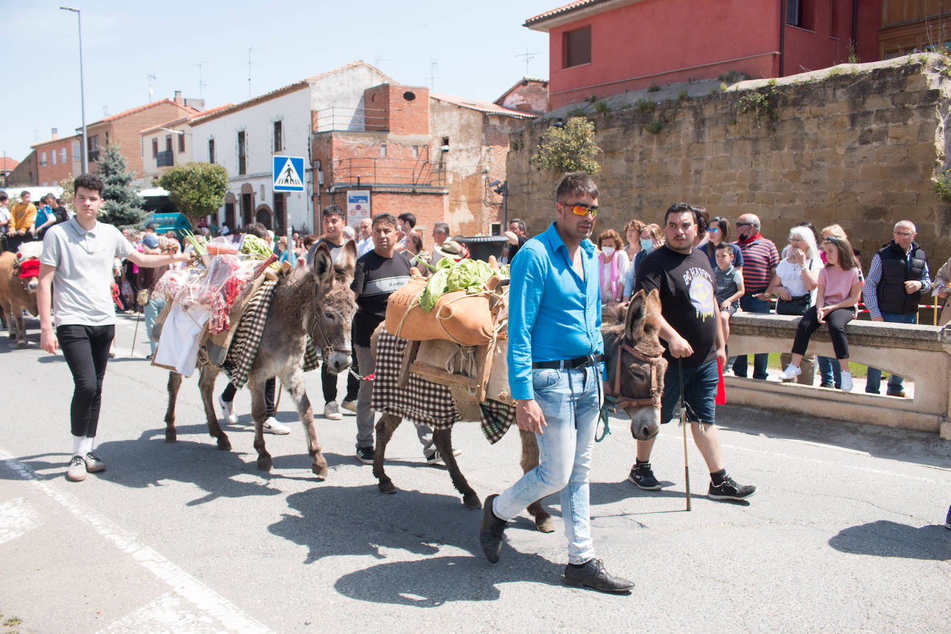 Fotos: Procesión de las doncellas en Santo Domingo de la Calzada