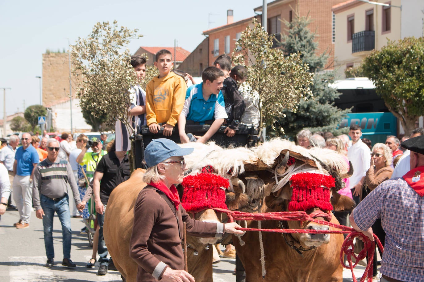 Fotos: Procesión de las doncellas en Santo Domingo de la Calzada