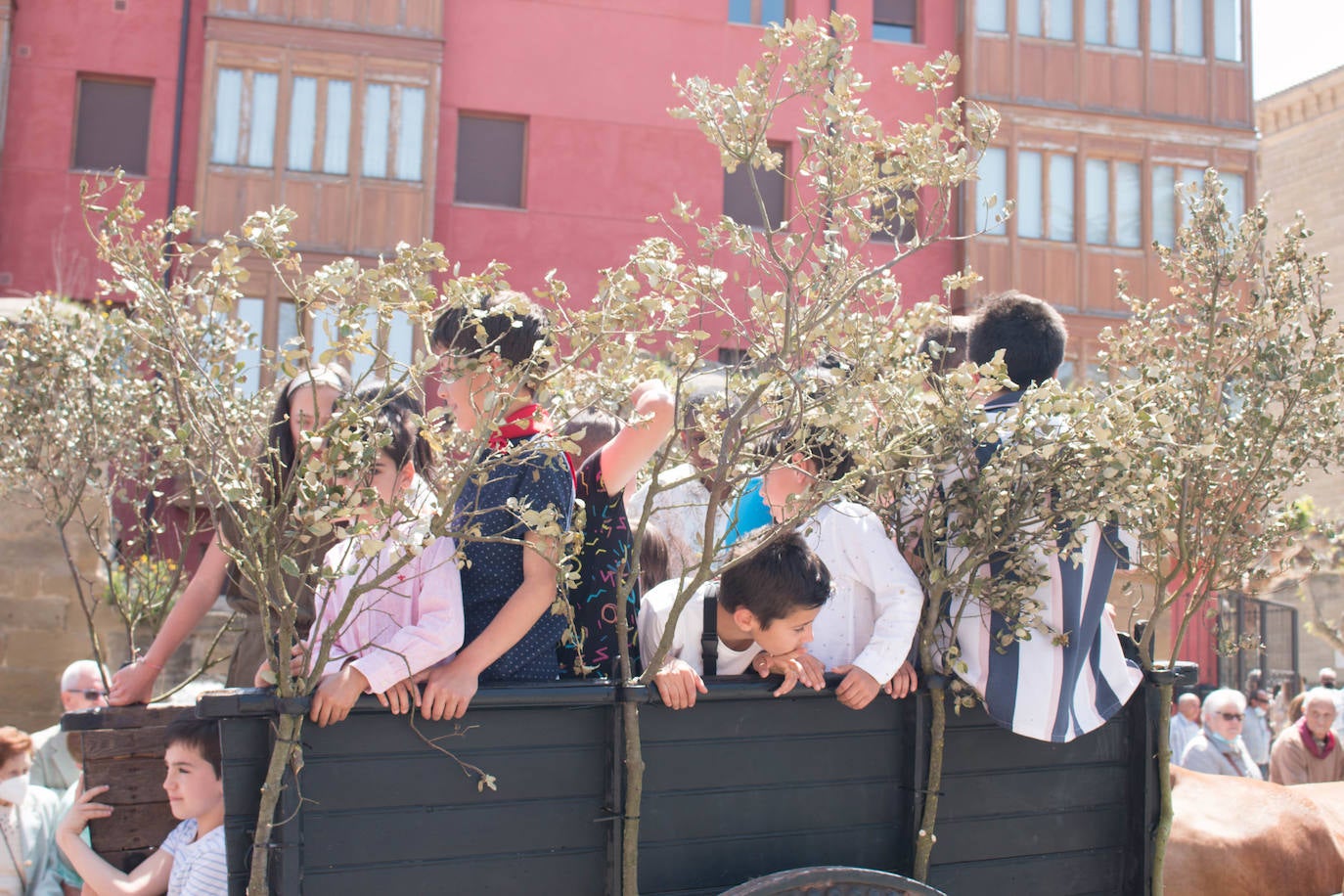 Fotos: Procesión de las doncellas en Santo Domingo de la Calzada