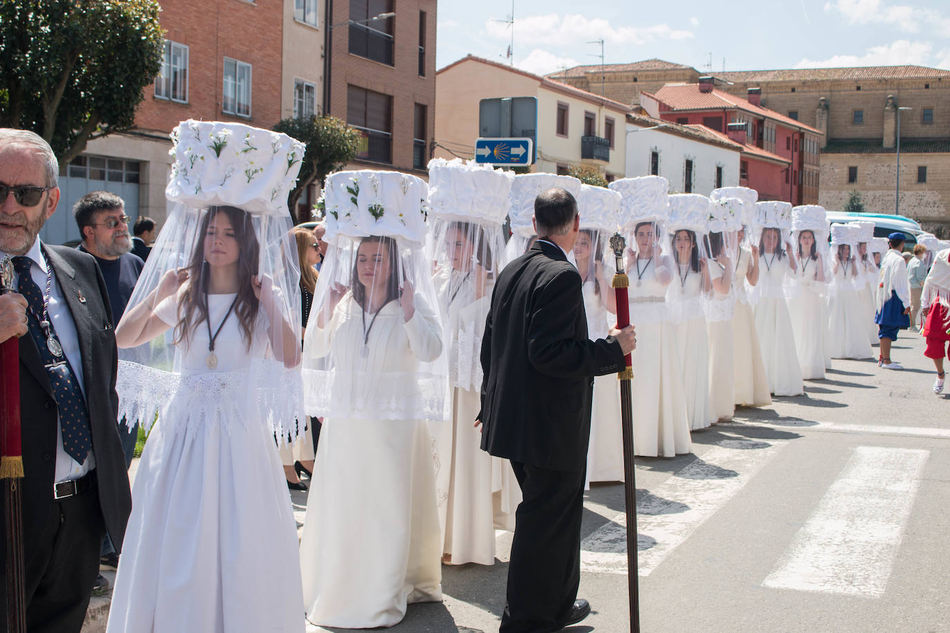 Fotos: Procesión de las doncellas en Santo Domingo de la Calzada