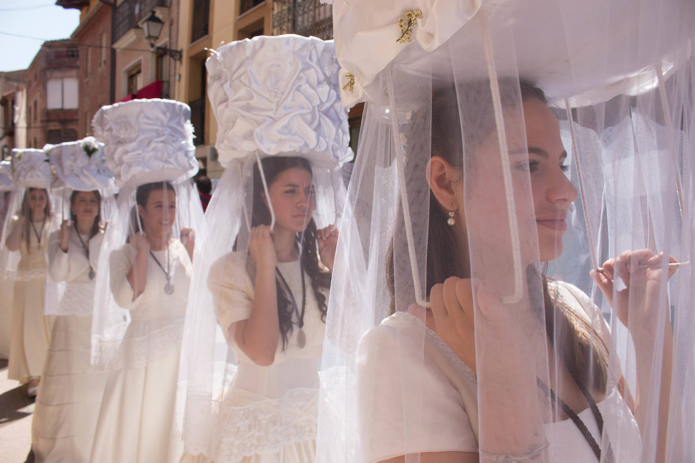 Fotos: Procesión de las doncellas en Santo Domingo de la Calzada