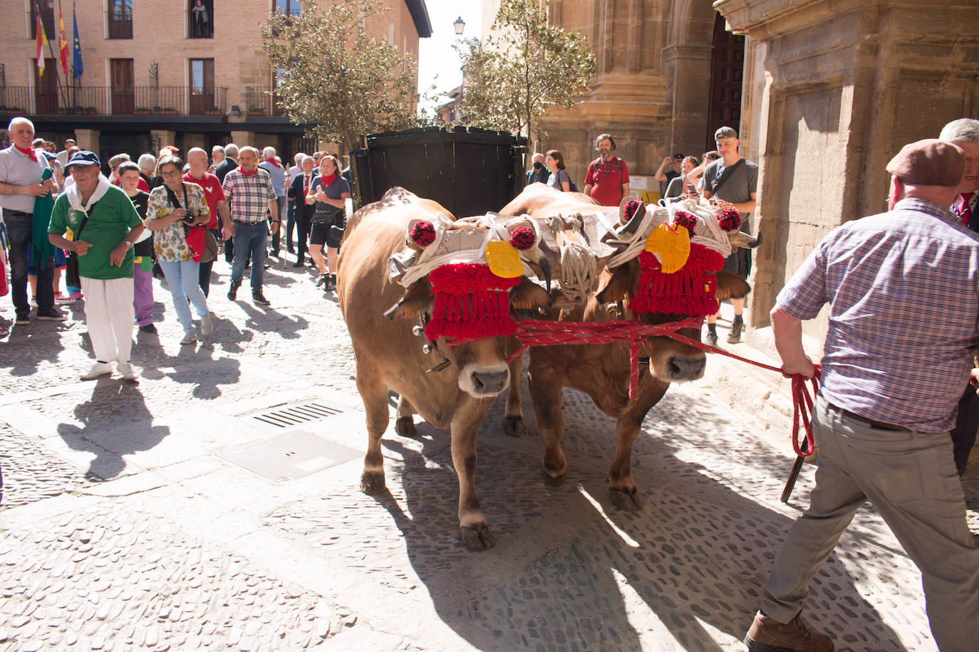 Fotos: Procesiones de Los Ramos y de Las Prioras en Santo Domingo de la Calzada